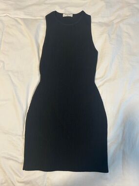 Aritzia Babaton Mini Dress